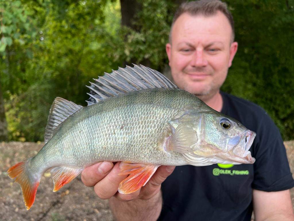 "Größter Barsch" - Sven Schenkel / Team Olek Fishing