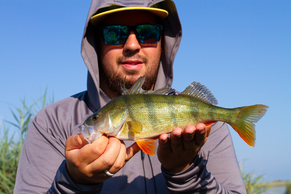 urlaub-am-bodensee-familie-und-angeln-in-lindau-gefished